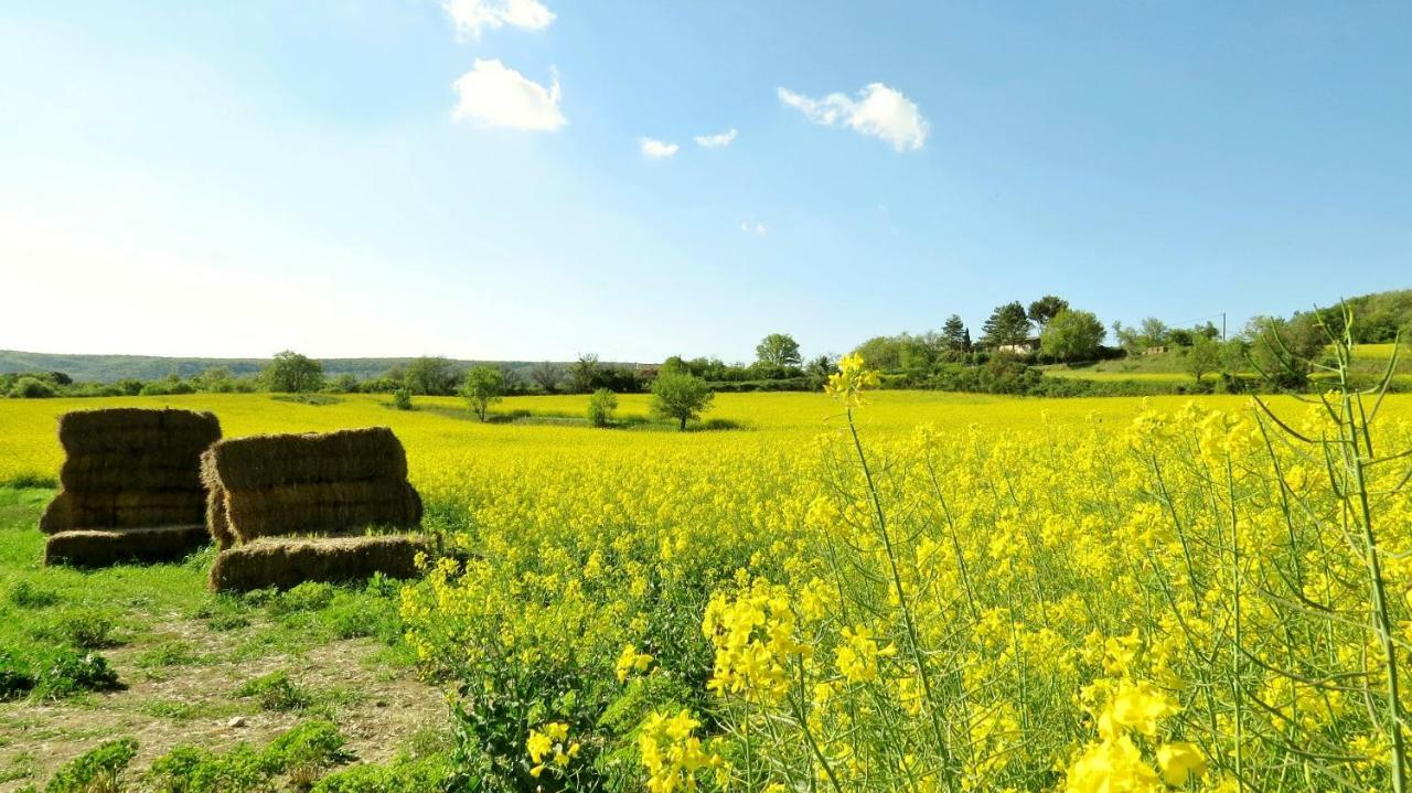 B&B La Guillone Murs (Vaucluse) Exterior foto